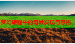 梦幻旅程中的奇妙发现与感悟