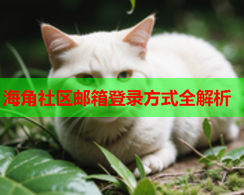海角社区邮箱登录方式全解析