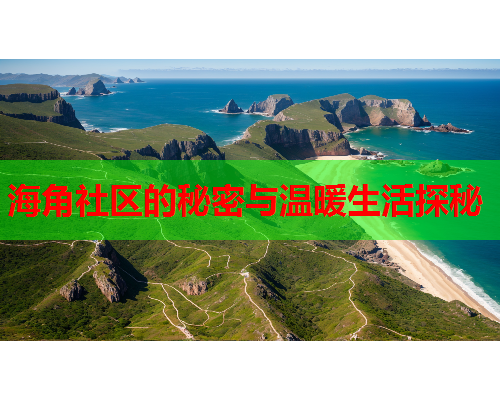 海角社区的秘密与温暖生活探秘